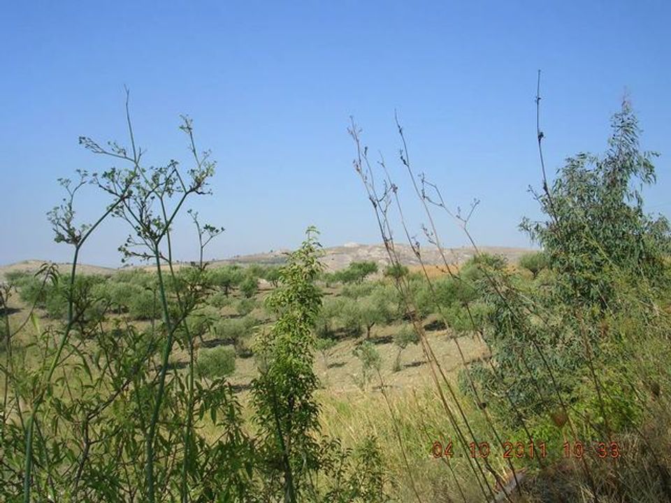 Landejendom i Cianciana, Agrigento - foto 4